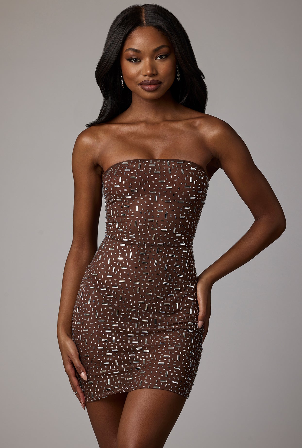 Sheer Embellished Bodycon Mini Dress in Deep Cocoa